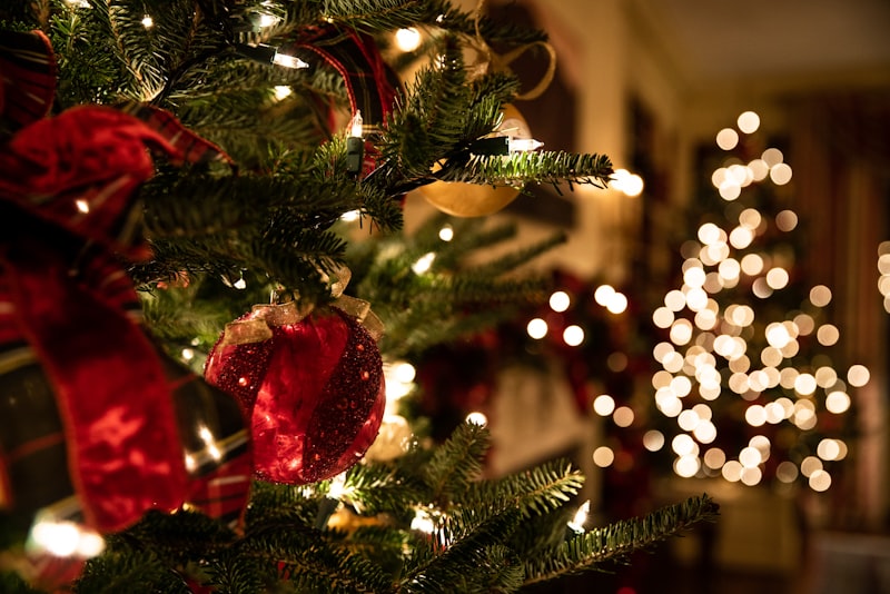 Holiday Party Potluck Guide: From Office to Classroom Celebrations